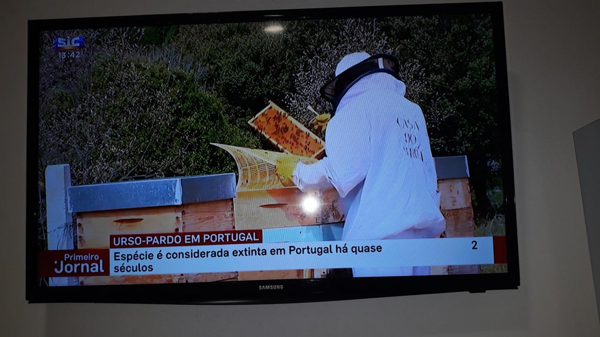 Apimonte City House A Bragança Eksteriør billede